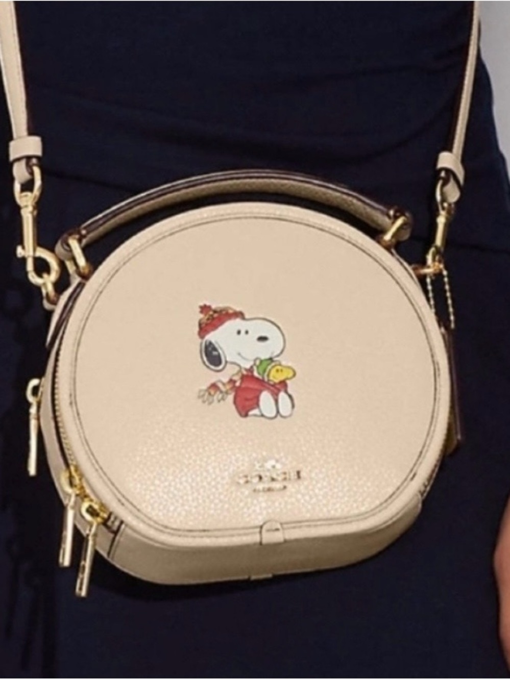 Coach x Peanuts Snoopy Canteen Crossbody Bag in Ivory/Gold multi. - Picture 9 of 9